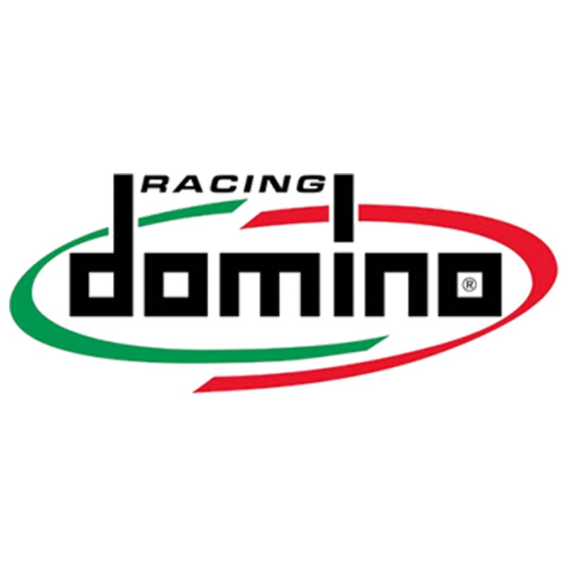 Domino