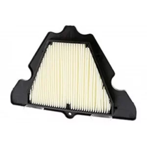 227-CAF1920#1.jpg. Champion Air Filter CAF1920