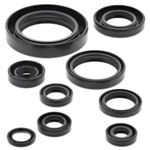 276-ZKM2177. BWX Engine Oil Seal Kit - CR250R '02-'04