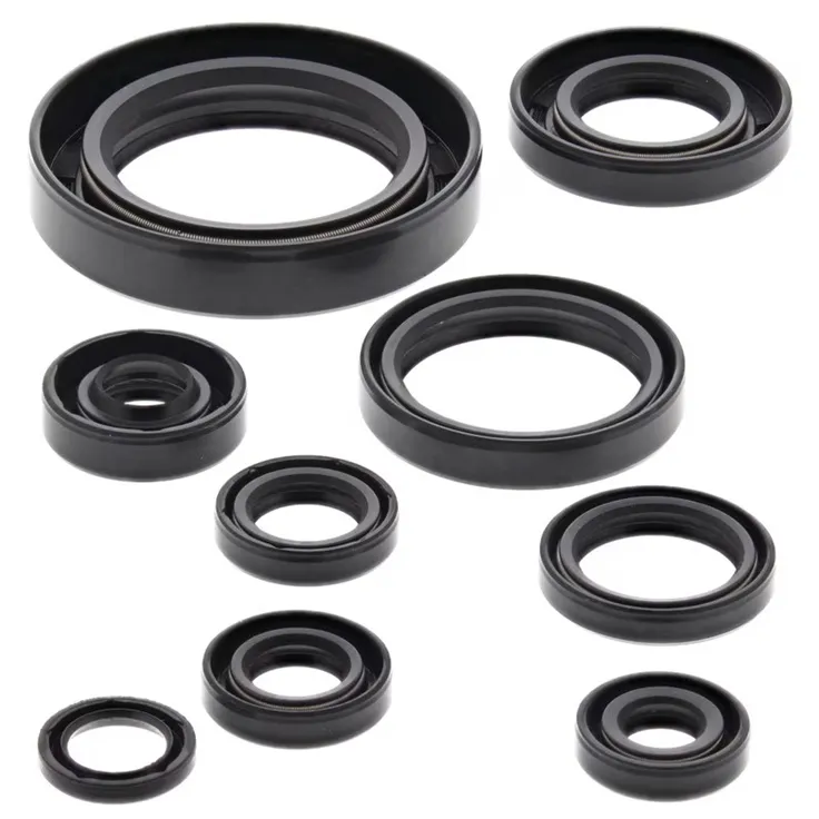 276-ZKM2177. BWX Engine Oil Seal Kit - CR250R '02-'04