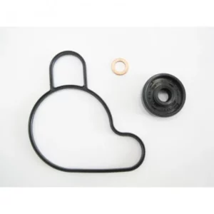 276-WPT203#1.jpg. BWX Water Pump Gasket Set - SX/TC/MC50