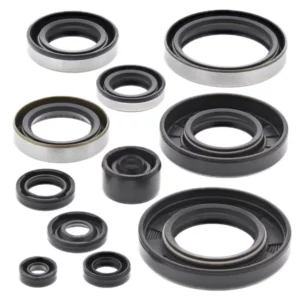 276-ZKM4288. BWX Engine Oil Seal Kit - KX250 '93-'03