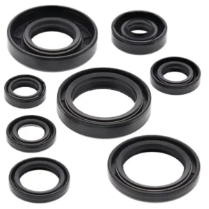 276-ZKM8173. BWX Engine Oil Seal Kit - YZ85 '02-'18