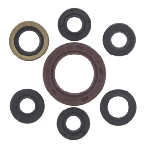 276-ZKA7043. BWX Engine Oil Seal Kit - LTZ/KFX/DVX400