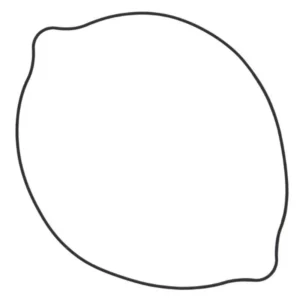 276-CGM8250#1.jpg. BWX Clutch Cover Gasket - RM250/CRF250R