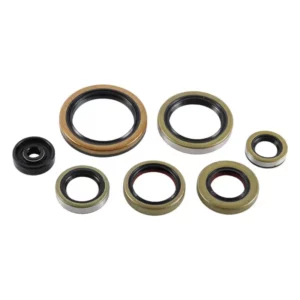 276-ZKM5372. BWX Engine Oil Seal Kit - KTM/Husqvarna 250/300