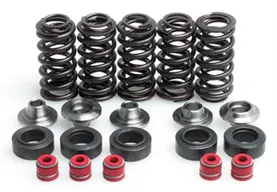 80100. KIBBLEWHITE Complete Valve Spring Kit - YZF/WRF400/426
