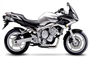 245-8422. LEO VINCE LV1 Stainless Slip-On - FZ6