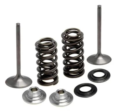372-80-80970. KIBBLEWHITE Inlet Valve Kit - YZF250 '14-'18/FX/WRF