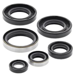 276-ZKM5185. BWX Engine Oil Seal Kit - SX65 '01-'08