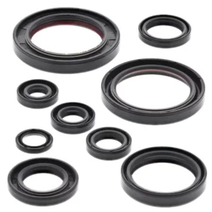 276-ZKM2315. BWX Engine Oil Seal Kit - CRF450X '05-'17