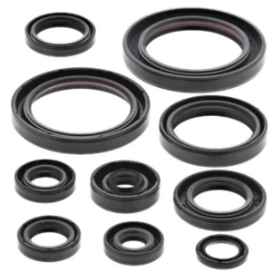 276-ZKM2178. BWX Engine Oil Seal Kit - CRF450R '02-'06