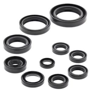 276-ZKM2270. BWX Engine Oil Seal Kit - CR125R '04