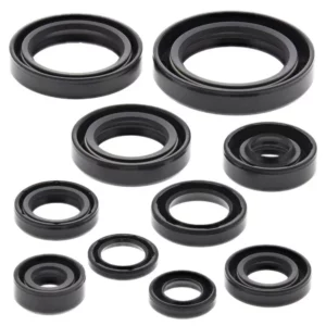 276-ZKM2265. BWX Engine Oil Seal Kit - CR125R '03