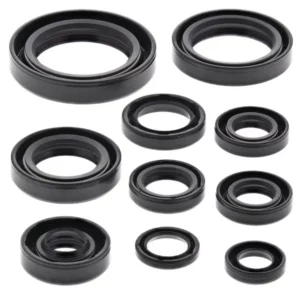 276-ZKM2107. BWX Engine Oil Seal Kit - CR125R '87-'02
