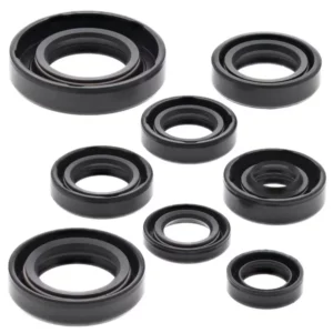 276-ZKM2181. BWX Engine Oil Seal Kit - CR80R/CR85R '03-'07