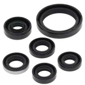 276-ZKA4334. BWX Engine Oil Seal Kit - KFX450 '08-'14