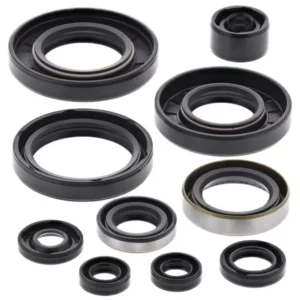 276-ZKM4257. BWX Engine Oil Seal Kit - KX250 '05-'08