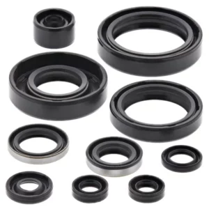 276-ZKM4183. BWX Engine Oil Seal Kit - KX125 '98-'05