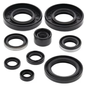 276-ZKM4292. BWX Engine Oil Seal Kit - KX80/KX85/100/RM100