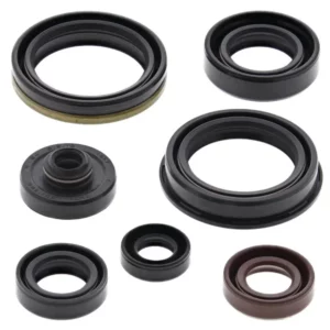 276-ZKM7329. BWX Engine Oil Seal Kit - RMZ250 '07-17