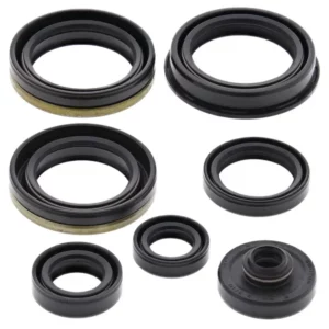 276-ZKM7317. BWX Engine Oil Seal Kit - RM250 '06-'09