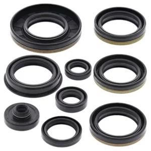 276-ZKM7227. BWX Engine Oil Seal Kit - RM250 '03-'05