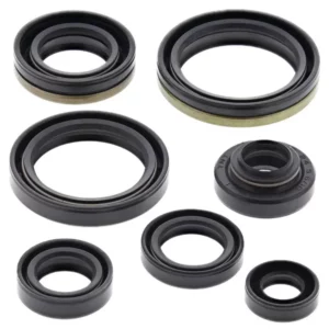 276-ZKM7267. BWX Engine Oil Seal Kit - RM125 '01-'03