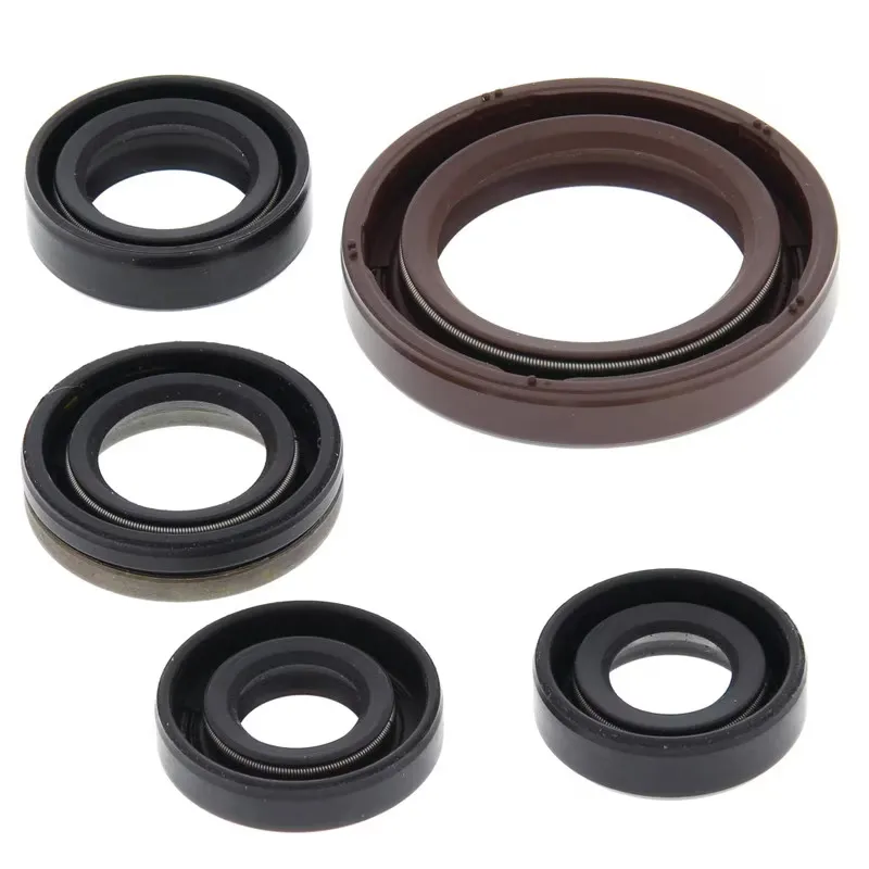 276-ZKA7175. BWX Engine Oil Seal Kit - LT-R450