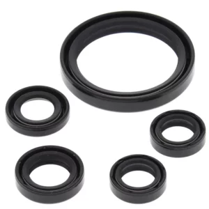 276-ZKA8048. BWX Engine Oil Seal Kit - YFZ450R/X