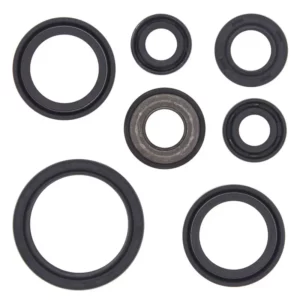276-ZKA8050. BWX Engine Oil Seal Kit - YFM660R Raptor '01-'05