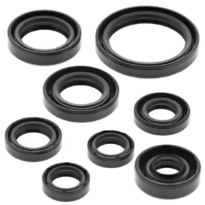 276-ZKM8228. BWX Engine Oil Seal Kit - YZ450F/WR450F