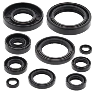 276-ZKM8172. BWX Engine Oil Seal Kit - YZ125 '01-'04