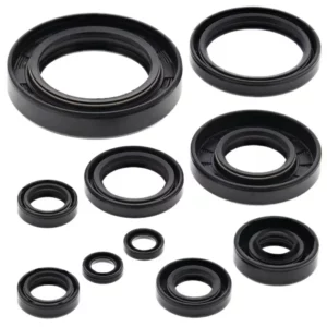 276-ZKM8122. BWX Engine Oil Seal Kit - YZ250 '99-'00