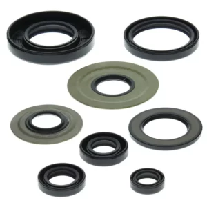 276-ZKA8008. BWX Engine Oil Seal Kit - YFM350 Raptor/Warrior