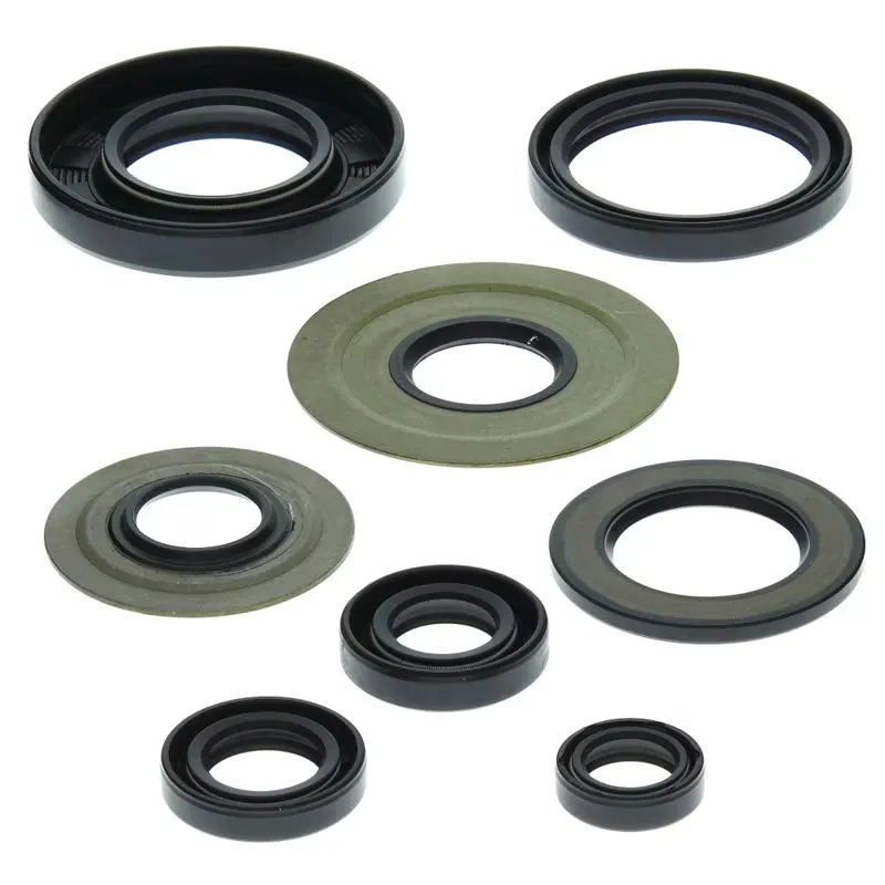 276-ZKA8008. BWX Engine Oil Seal Kit - YFM350 Raptor/Warrior