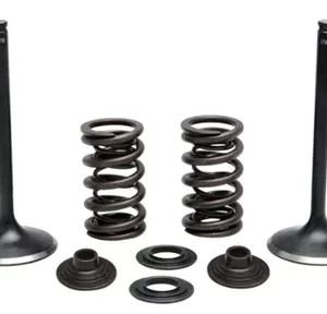 372-96-96480. KIBBLEWHITE Inlet Valve Kit - KTM/Husqvarna 250
