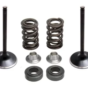 372-80-81100. KIBBLEWHITE Inlet Valve Kit - YZF450 '14-'17/YZ450FX '16-'18