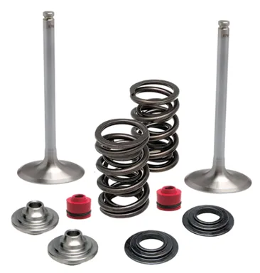 372-60-60470. KIBBLEWHITE Inlet Valve Kit - RMZ250 '07-'17