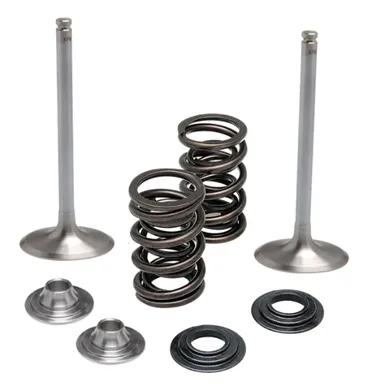 372-60-60450. KIBBLEWHITE Inlet Valve Kit - RMZ250 '04-'06