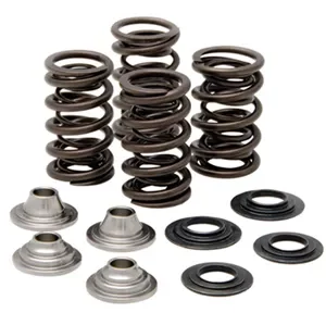 40660. KIBBLEWHITE Complete Valve Spring Kit - KXF450 '09-'16