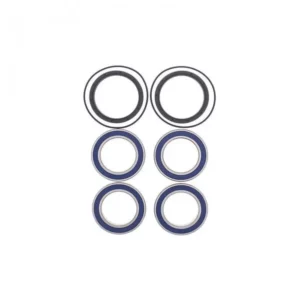 344-ARSU003#1.jpg. BWX Rear Wheel Bearing Kit - LT-R450 '06-'11