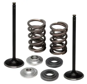 372-96-96450. KIBBLEWHITE Inlet Valve Kit - KTM 250
