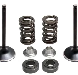 372-80-81050. KIBBLEWHITE Inlet Valve Kit - YZF450 '10-'13