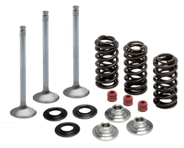 372-80-80950. KIBBLEWHITE Inlet Valve Kit - 450cc-YFZ ATV/YZF '03-'09/WRF '03-'15