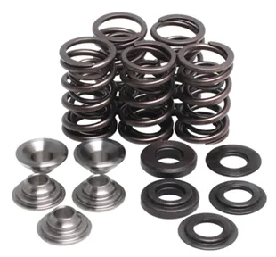 80030. KIBBLEWHITE Complete Valve Spring Kit - YFM660 '01-'08