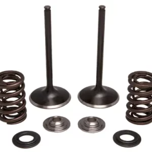 372-30-31240. KIBBLEWHITE Inlet Valve Kit - CRF450R '09-'12