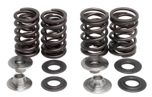 40700. KIBBLEWHITE Complete Valve Spring Kit - KLX450 '08-'10