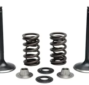372-40-40380. KIBBLEWHITE Inlet Valve Kit - KXF450 '09-'16