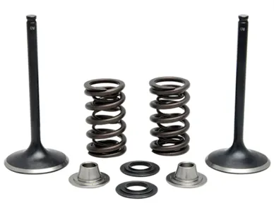 372-40-40380. KIBBLEWHITE Inlet Valve Kit - KXF450 '09-'16
